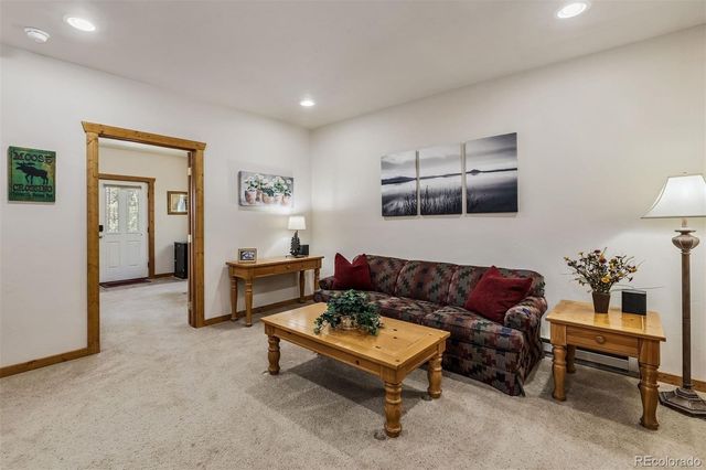 248 Puma Place, Fairplay, CO 80440