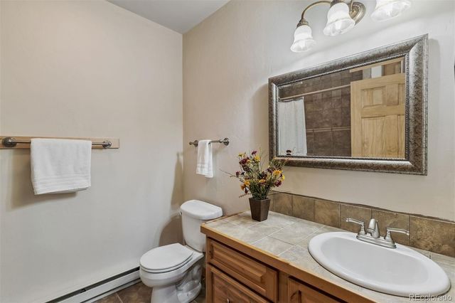 248 Puma Place, Fairplay, CO 80440
