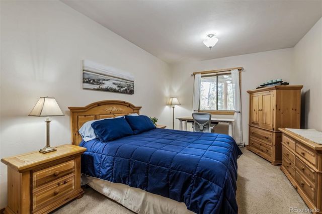 248 Puma Place, Fairplay, CO 80440
