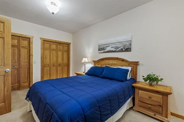 248 Puma Place, Fairplay, CO 80440
