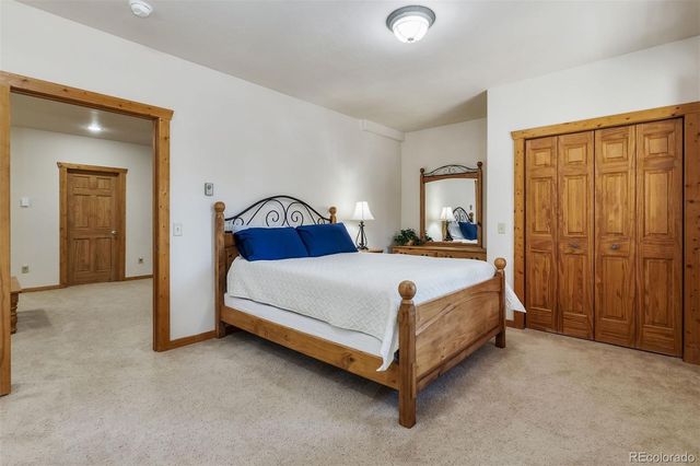248 Puma Place, Fairplay, CO 80440