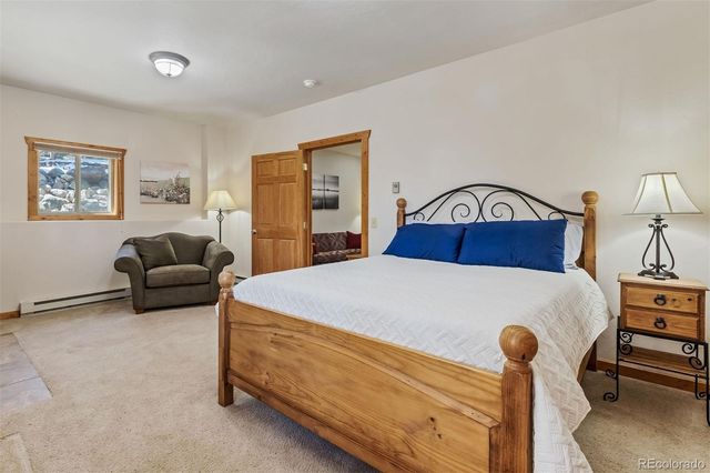 248 Puma Place, Fairplay, CO 80440