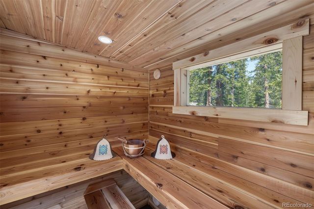 248 Puma Place, Fairplay, CO 80440