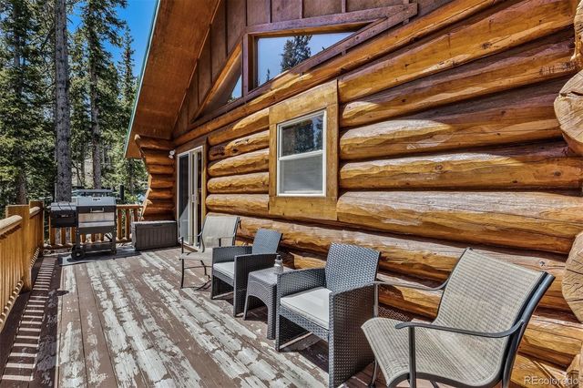 248 Puma Place, Fairplay, CO 80440
