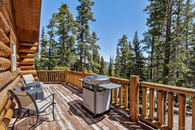 248 Puma Place, Fairplay, CO 80440