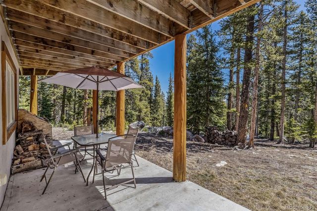248 Puma Place, Fairplay, CO 80440