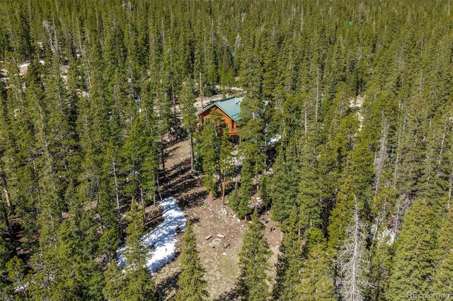 248 Puma Place, Fairplay, CO 80440