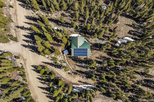 248 Puma Place, Fairplay, CO 80440