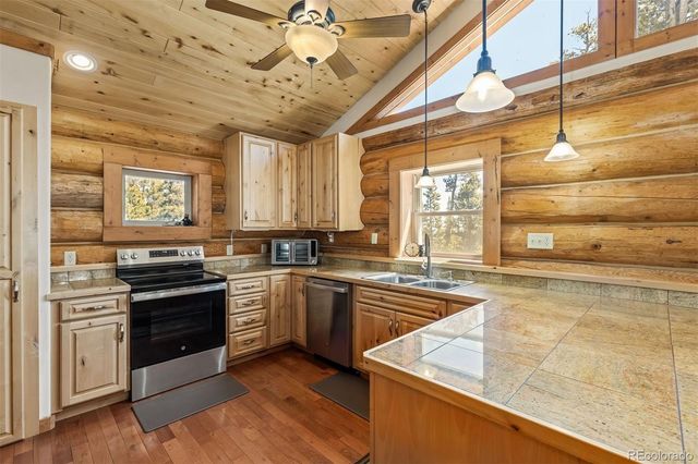 248 Puma Place, Fairplay, CO 80440