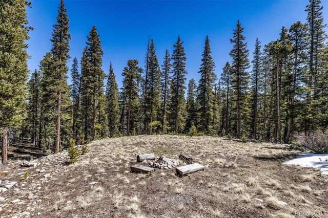 248 Puma Place, Fairplay, CO 80440