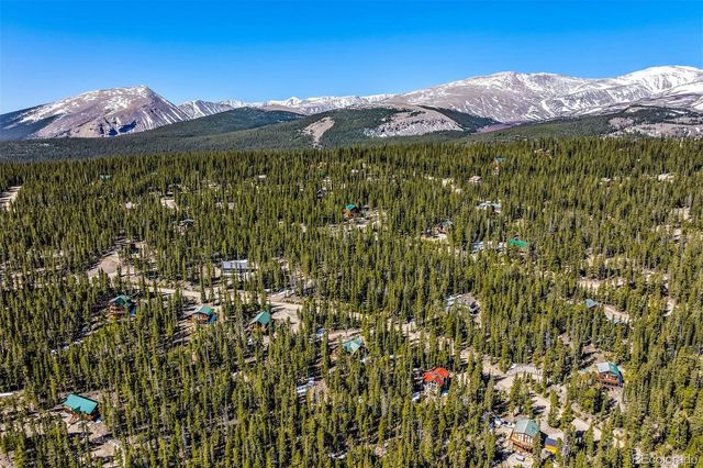 248 Puma Place, Fairplay, CO 80440
