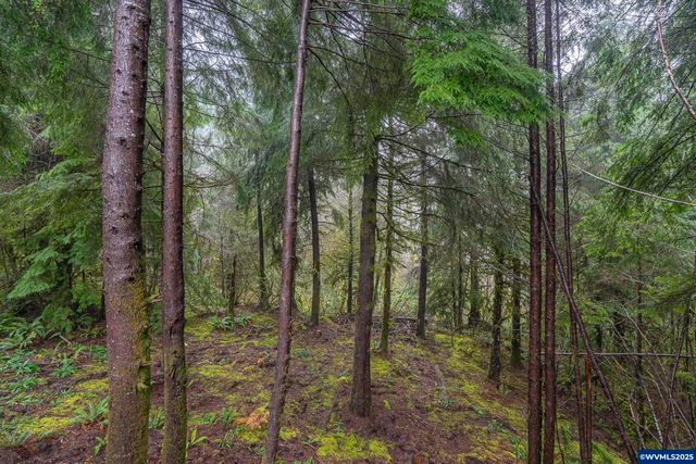 3684 Salmon River Hwy, Otis, OR 97368