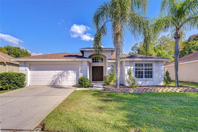 19414 MORDEN BLUSH DRIVE, Lutz, FL 33558