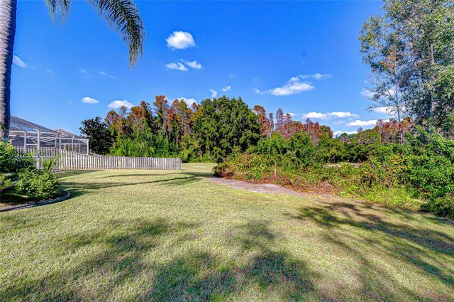 19414 MORDEN BLUSH DRIVE, Lutz, FL 33558