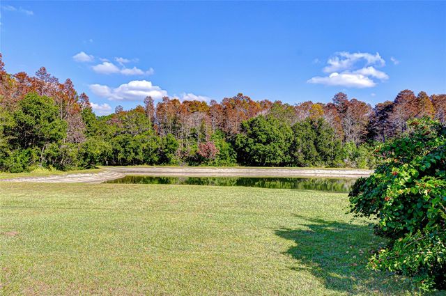 19414 MORDEN BLUSH DRIVE, Lutz, FL 33558