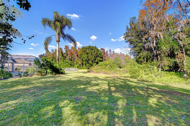 19414 MORDEN BLUSH DRIVE, Lutz, FL 33558