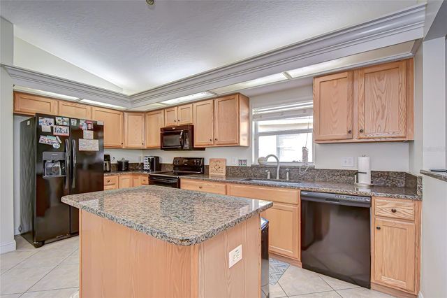 19414 MORDEN BLUSH DRIVE, Lutz, FL 33558