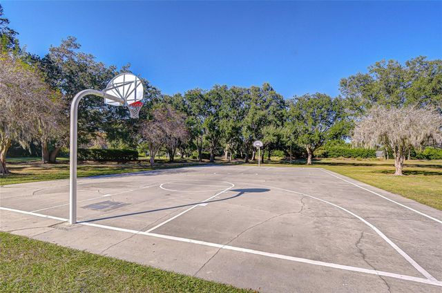 19414 MORDEN BLUSH DRIVE, Lutz, FL 33558