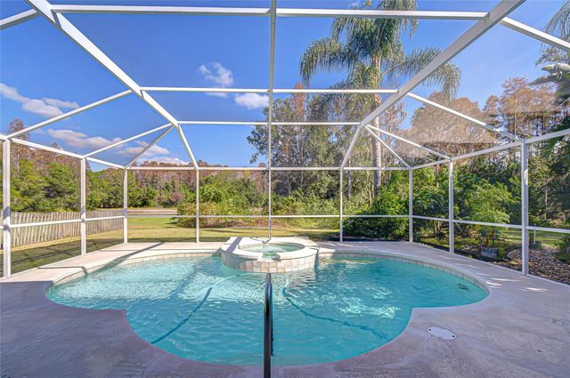 19414 MORDEN BLUSH DRIVE, Lutz, FL 33558