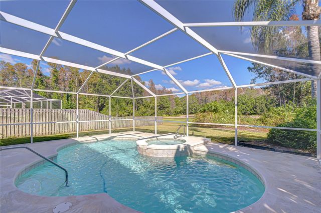 19414 MORDEN BLUSH DRIVE, Lutz, FL 33558