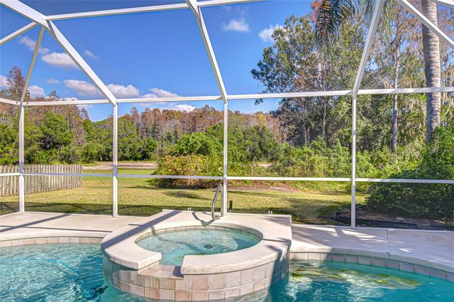 19414 MORDEN BLUSH DRIVE, Lutz, FL 33558