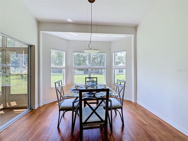 24100 PEEKSKILL STREET, Leesburg, FL 34748