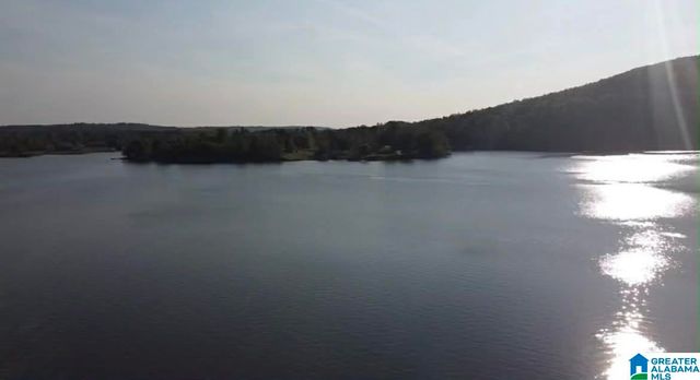 39 SANDHILL DRIVE, Ohatchee, AL 36271