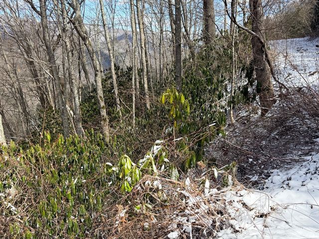 TBD Noon Day, Topton, NC 28781