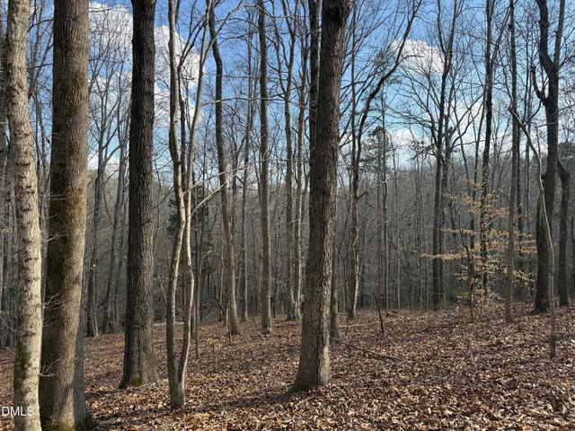 0 Birch Creek Farm Lane, Franklinton, NC 27525