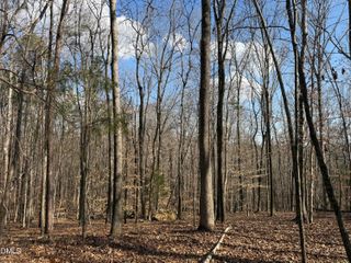 0 Birch Creek Farm Lane, Franklinton, NC 27525
