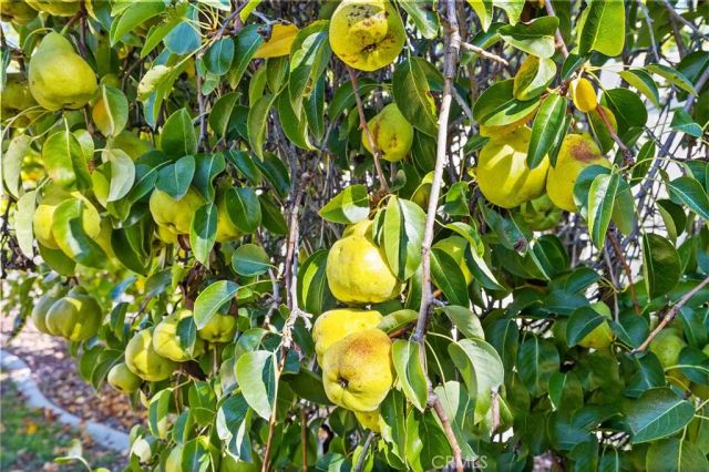 44690 Calle Lopez, Temecula, CA 92592