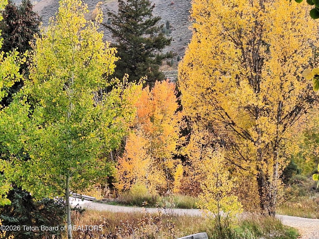 1035 E DEER CREEK Drive, Jackson, WY 83001 photo 51
