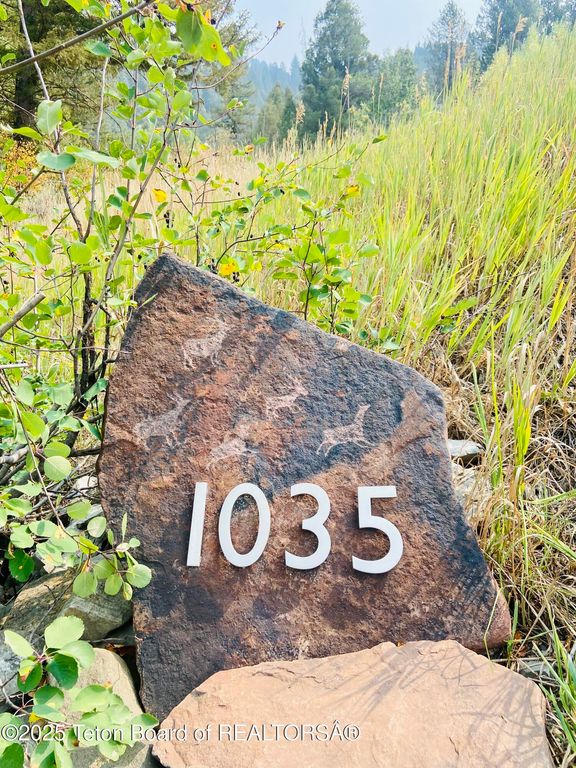 1035 E DEER CREEK Drive, Jackson, WY 83001 photo 57