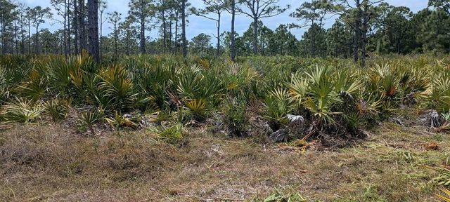 000 None, Grant Valkaria, FL 32950