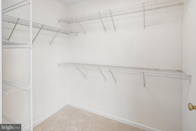 8008 TOWERING OAK WAY, Manassas, VA 20111