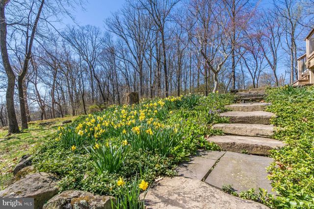 20 SOLEBURY MOUNTAIN RD, New Hope, PA 18938