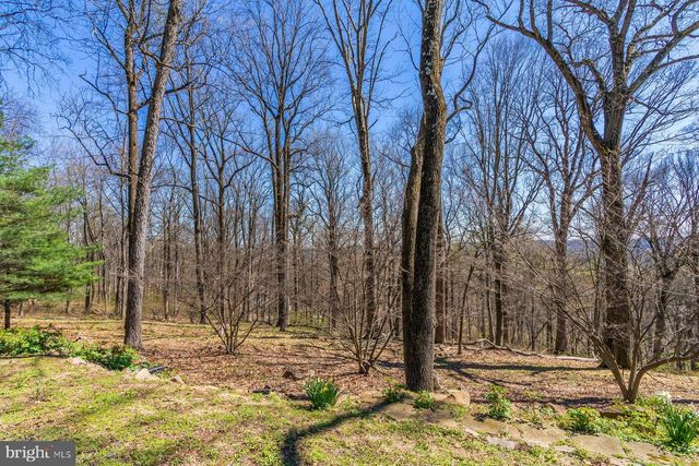 20 SOLEBURY MOUNTAIN RD, New Hope, PA 18938