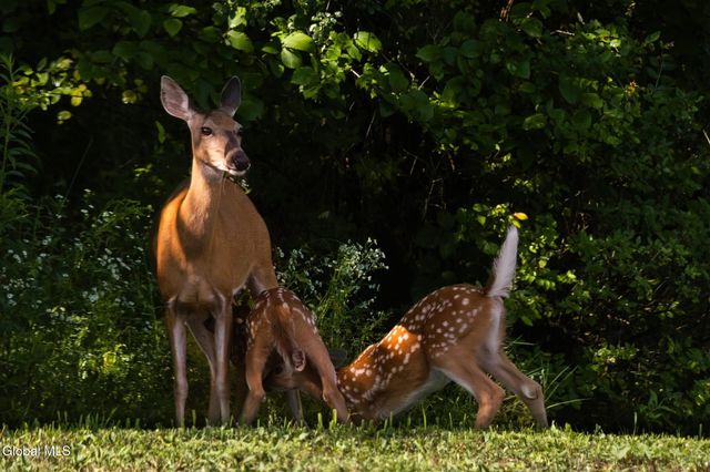 318 Ridge Road, Glenville, NY 12302