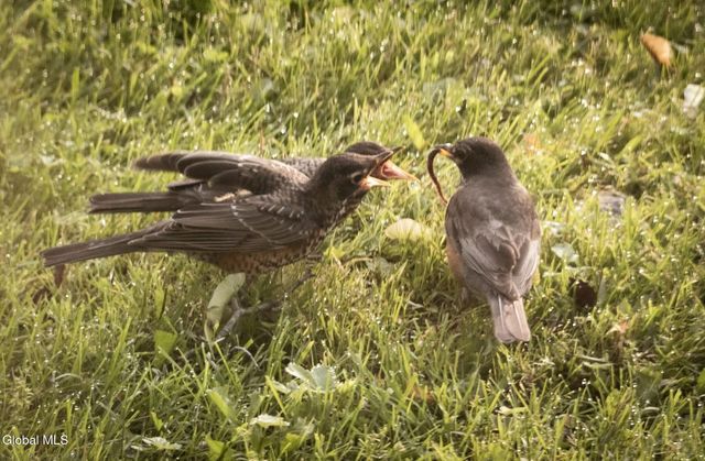 318 Ridge Road, Glenville, NY 12302