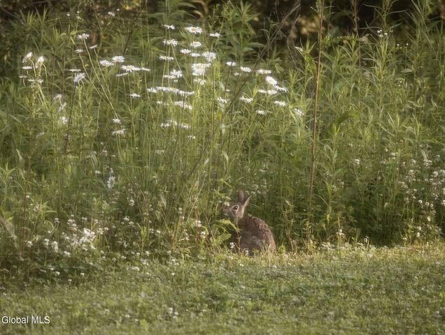 318 Ridge Road, Glenville, NY 12302