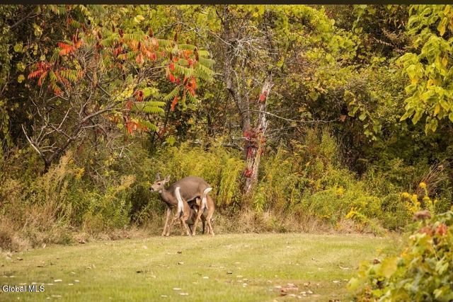 318 Ridge Road, Glenville, NY 12302