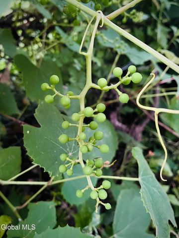 318 Ridge Road, Glenville, NY 12302