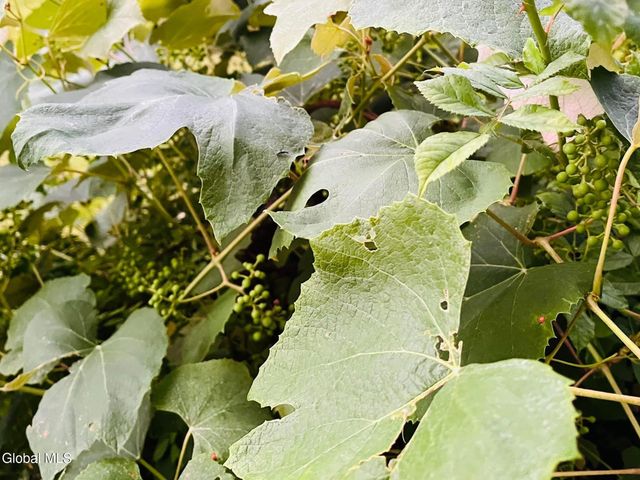 318 Ridge Road, Glenville, NY 12302