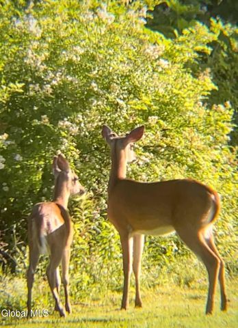 318 Ridge Road, Glenville, NY 12302