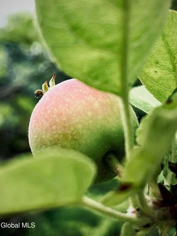 318 Ridge Road, Glenville, NY 12302