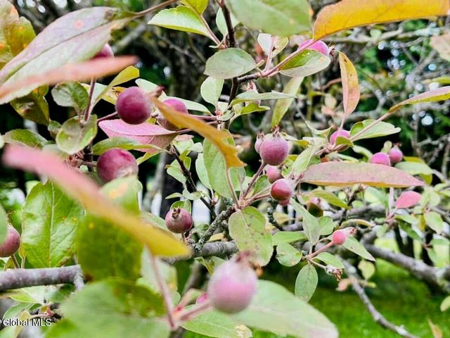 318 Ridge Road, Glenville, NY 12302