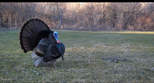 318 Ridge Road, Glenville, NY 12302