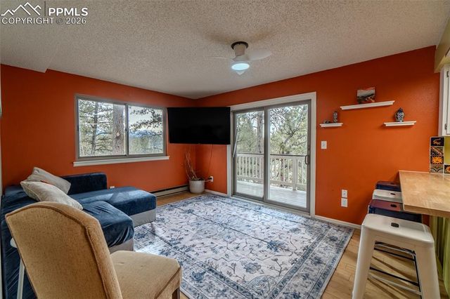 493 Lost Lake Drive, Divide, CO 80814