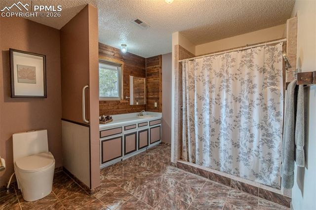 493 Lost Lake Drive, Divide, CO 80814