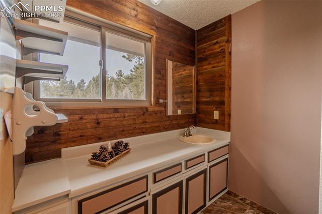 493 Lost Lake Drive, Divide, CO 80814